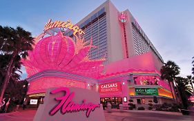 Hotel Flamingo Las Vegas